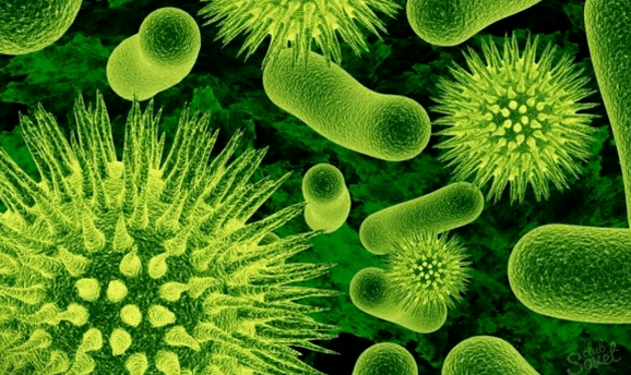 Viruses caused by parasites