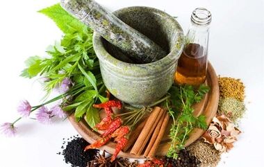 Popular remedies to eliminate parasites from the body